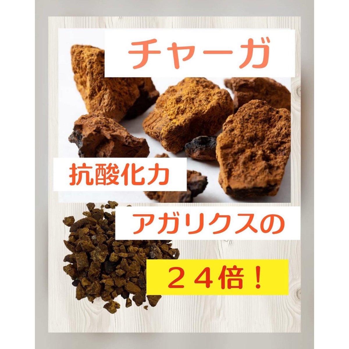 東大農学博士認定 霊芝 180粒入り 田七人参 イチョウ葉エキス 東大