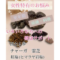 ［12]＊田七チャガ末10包～30包（健康オールサポート）＊田七人参と今話題のチャガ霊芝イチョウ葉、真珠末と良いとこ取り！色々な年代の健康の強い味方！￥5000～￥13000！