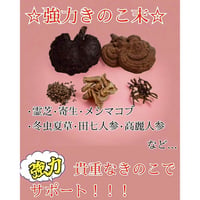 ＊強力きのこ末10包、20包、30包---貴重なメシマコブやチャーガ霊芝冬虫夏草、アガリクスのキノコと田七高麗人参、キトサン入り。強力サポート！税込！