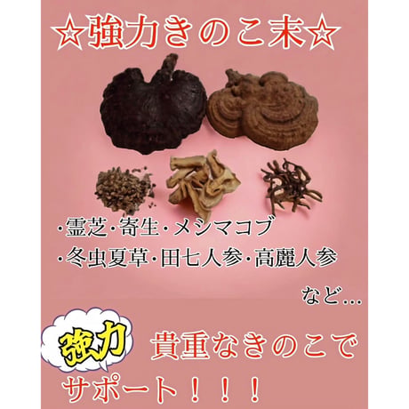 ＊強力きのこ末10包、20包、30包---貴重なメシマコブやチャーガ霊芝冬虫夏草、アガリクスのキノコと田七高麗人参、キトサン入り。強力サポート！税込！