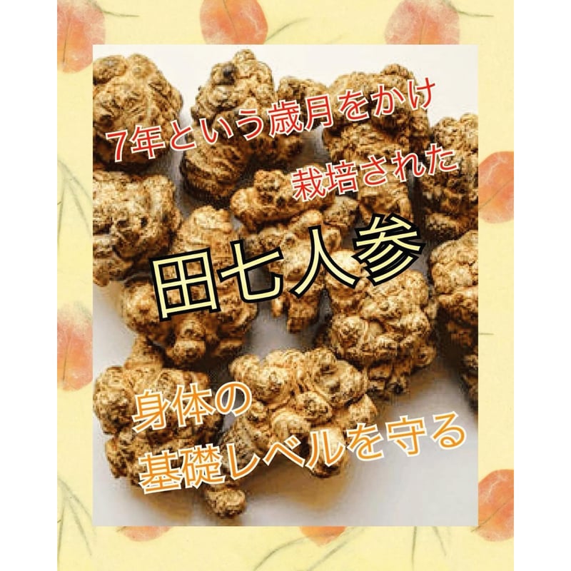 12]＊田七チャガ末15~30包（健康オールサポート）＊田七人参と今
