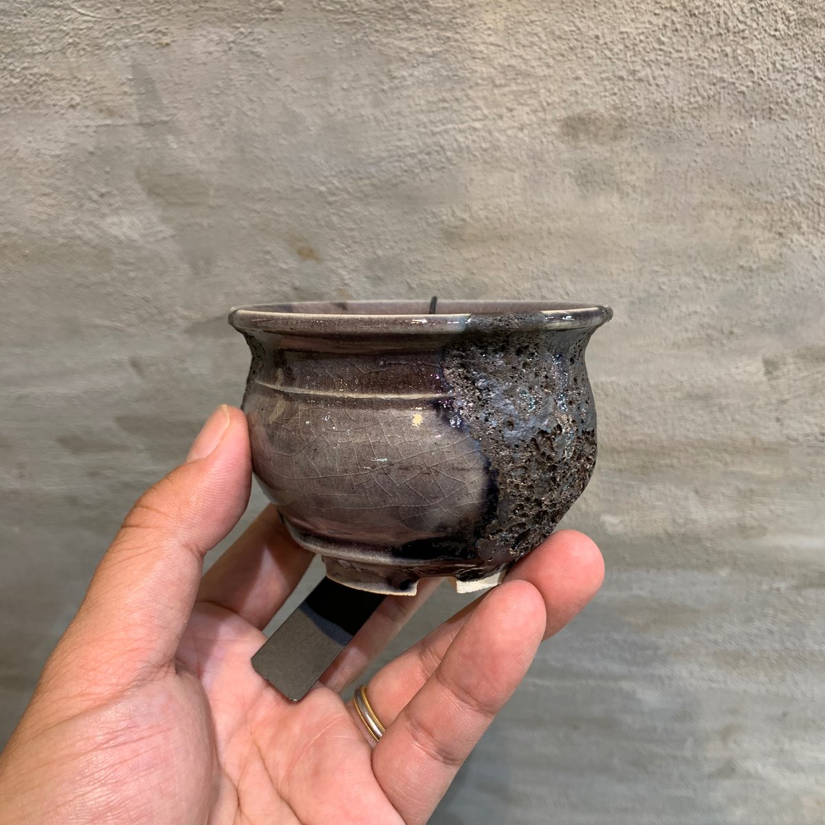 鉢】Wild Heaven 濱口 公佑 