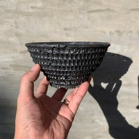 鉢】姫野 翔太 NOPPO 銀彩 陶作 陶器鉢 | A-PLANTS|塊根植物販売