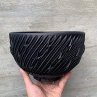 植物鉢] left botanical 白黒垂れ Mサイズ | A-PLANTS|塊根植物販売