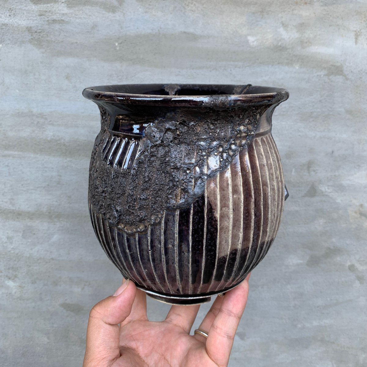 ※鉢曇摩華購入、野外標本３種セット 鉢】Wild Heaven 濱口 公佑 【MARU×SHINOGI】4.5号 陶作 陶器鉢