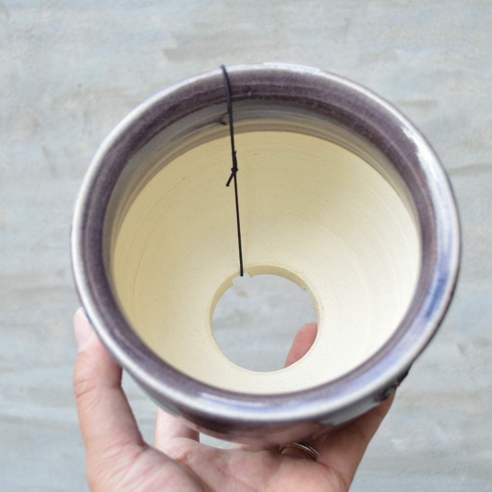 鉢】Wild Heaven 濱口 公佑 