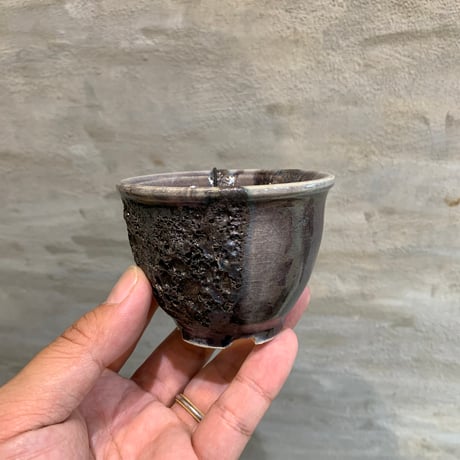 Wild Heaven 高級 陶器鉢 作家鉢 アガベ 塊根植物 観葉植物 Wild Heaven 高級 陶器鉢 作家鉢 アガベ 塊根植物 観葉植物