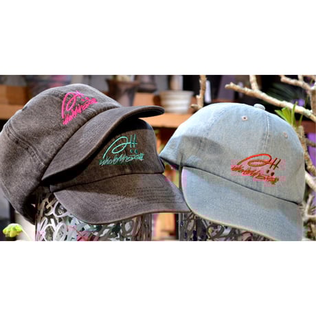 A-PLANTS|塊根植物販売