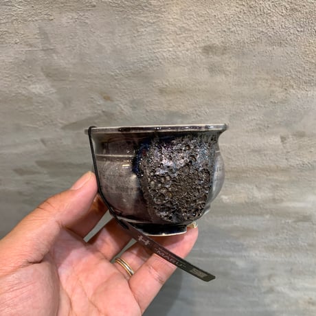 CATEGORY Wild heaven | A-PLANTS|塊根植物販売