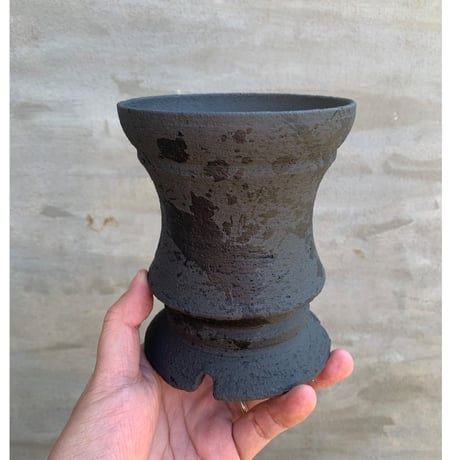 CATEGORY GOAT | A-PLANTS|塊根植物販売