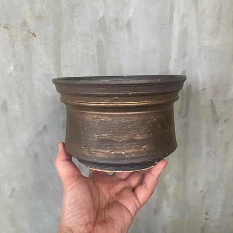 【鉢】保田 修作 陶作 陶器鉢 9番 多肉植物 塊根植物 コーデックス