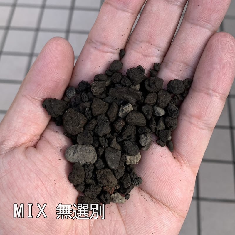 無洗浄・無選別・篩い分けのみ品『富士砂[細粒]25kg 盆栽用土の販売通販（富士砂 無選別(10L)） 株式会社 原田園芸