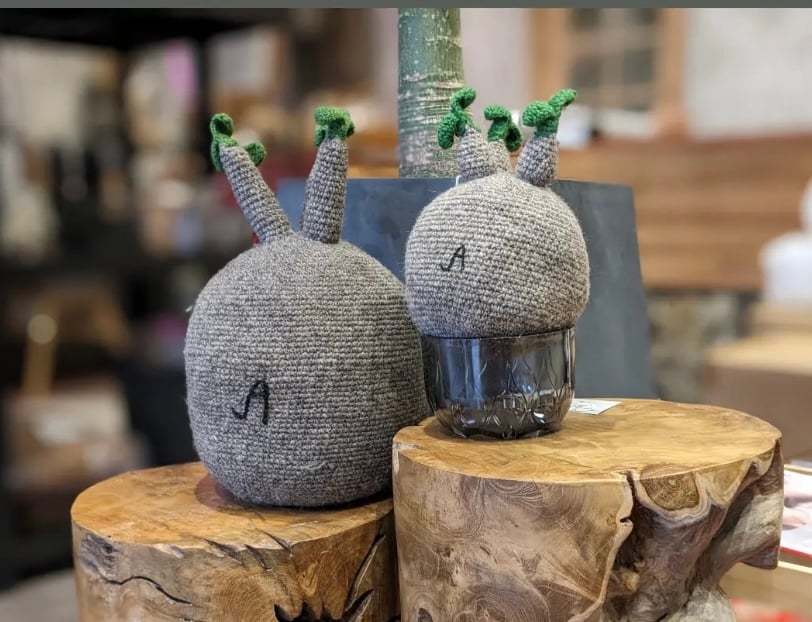 グッズ/インテリア】パキぐるみ <小> A PLANTS 手編みシリーズ グッズ/インテリア】パキぐるみ <小> A PLANTS 手編みシリーズ