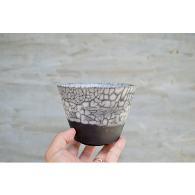 Ikumi様 希少 ブラジル ヒメヤシ バルーン陶器鉢 植え込み発送 植木鉢】clayman 楽焼 陶器鉢 | A-PLANTS|塊根植物販売