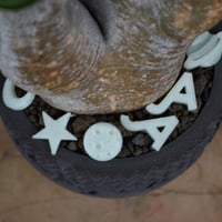 鉢】姫野 翔太 NOPPO 銀彩 陶作 陶器鉢 | A-PLANTS|塊根植物販売