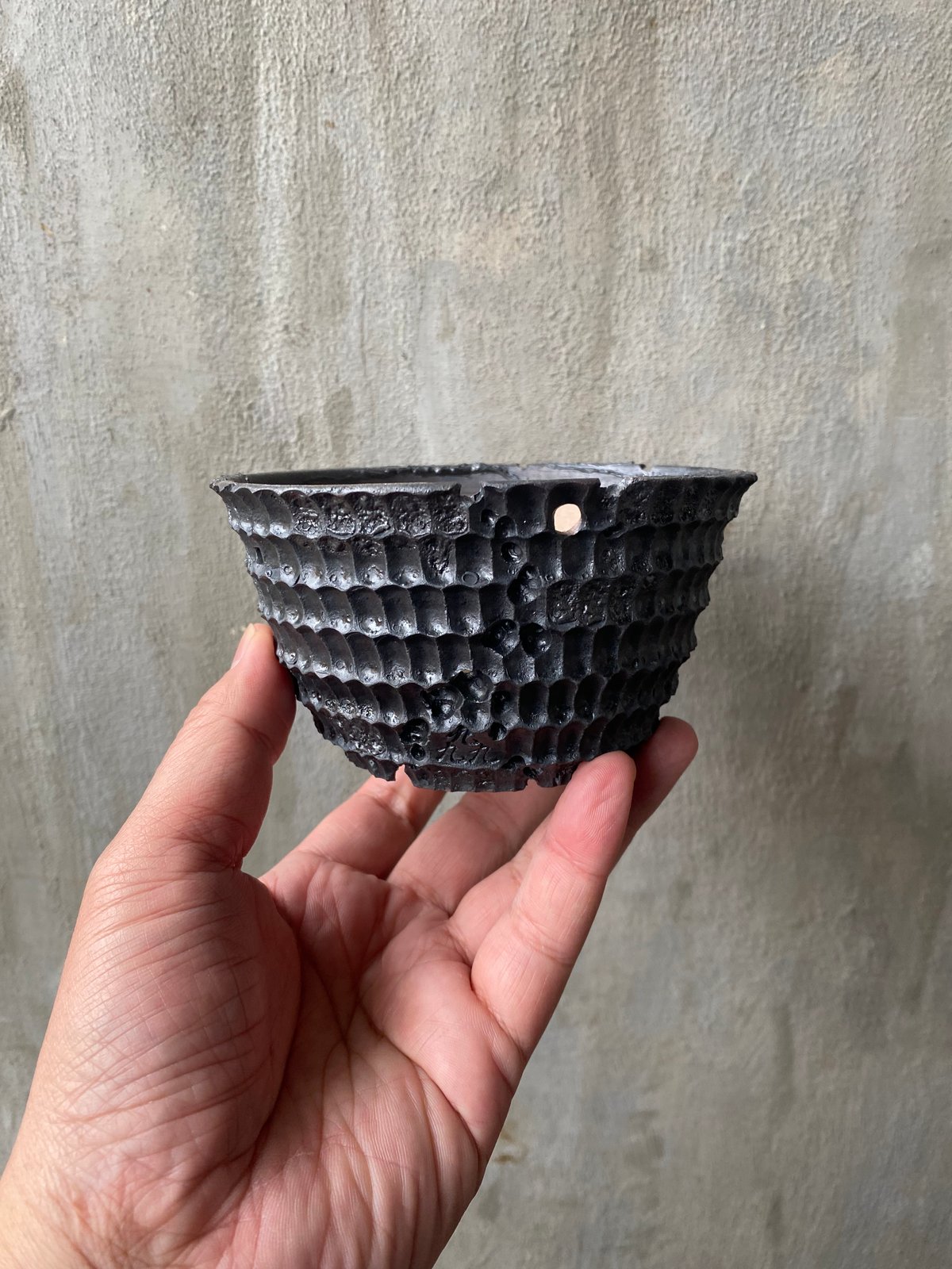 鉢】Tig.9 陶器鉢 (3) | A-PLANTS|塊根植物販売