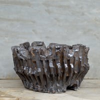 鉢】姫野 翔太 NOPPO 銀彩 陶作 陶器鉢 | A-PLANTS|塊根植物販売