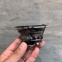 植物鉢] left botanical 白黒垂れ Mサイズ | A-PLANTS|塊根植物販売