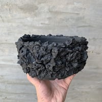 35,000円からの最終値下げ❗️期間限定❗️パキポディウムグラキリス 姫野翔太　鉢 鉢】姫野 翔太 Tsubomi < 特大鉢 > 陶器鉢 | A-PLANTS|塊根植物販売