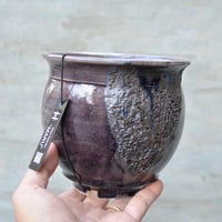 美原良 鉢 pep鉢 fit=scale-down,w=1200