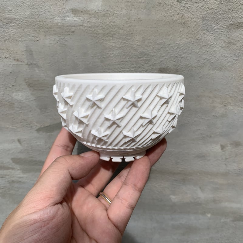 大特価！国内実生ウィンゾリーと3Dプリンター鉢付き！メルカリ便込み！ 大特価！早い者勝ち！ウィンゾリーと3Dプリンター鉢付き