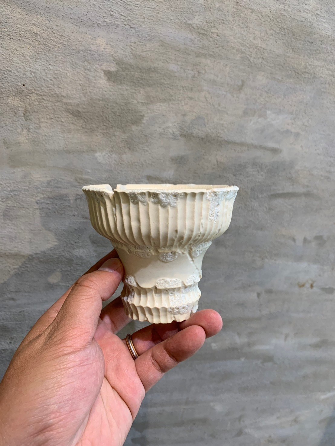 鉢】Tig.9 陶器鉢 (2) | A-PLANTS|塊根植物販売