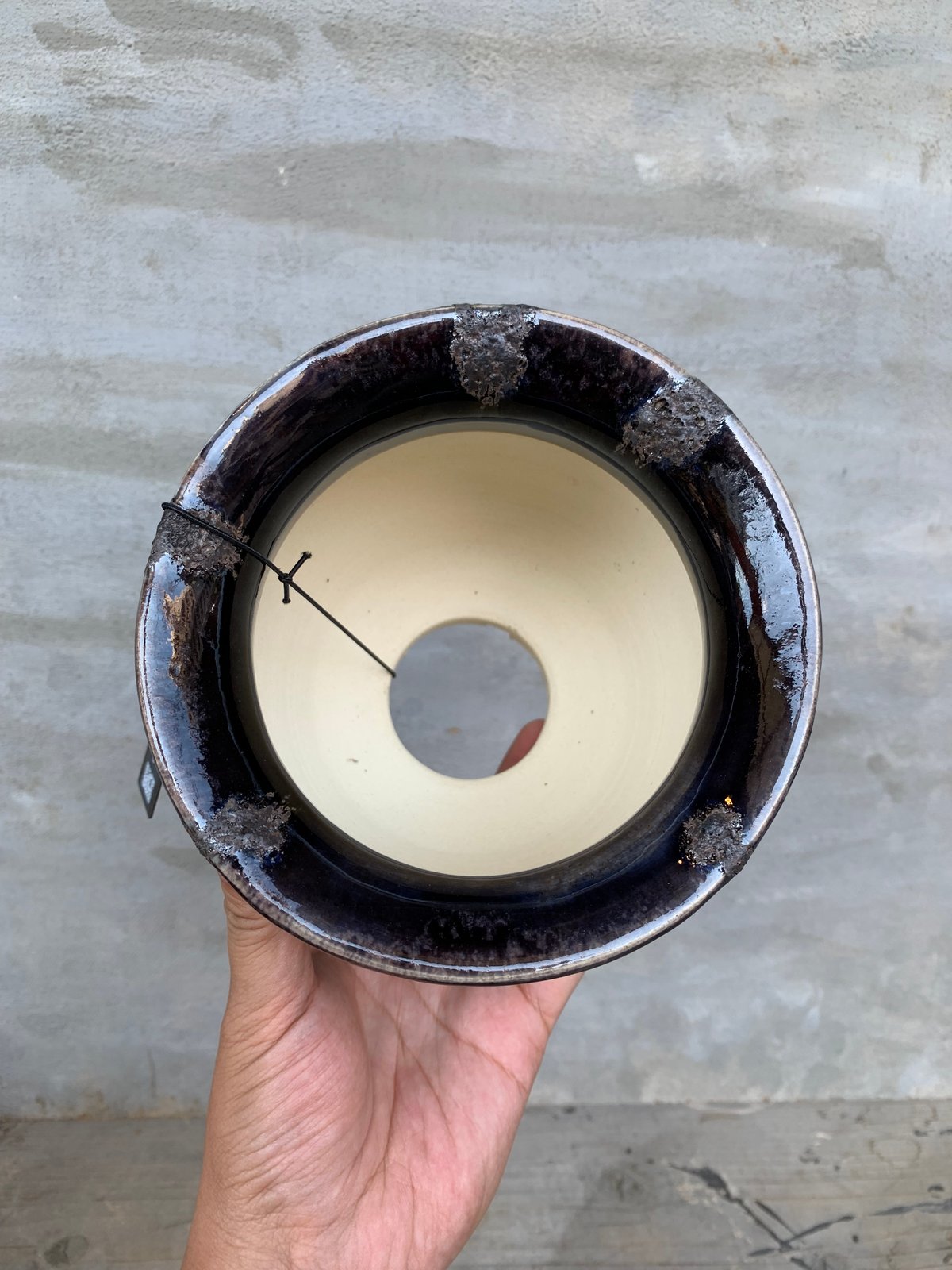 ※鉢曇摩華購入、野外標本３種セット 鉢】Wild Heaven 濱口 公佑 【MARU×SHINOGI】4.5号 陶作 陶器鉢