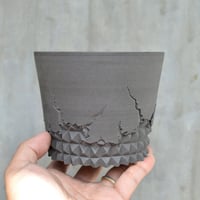 植木鉢】 goat A PLANTS別注 VENOM Lsize 陶器鉢 多肉植物 塊根