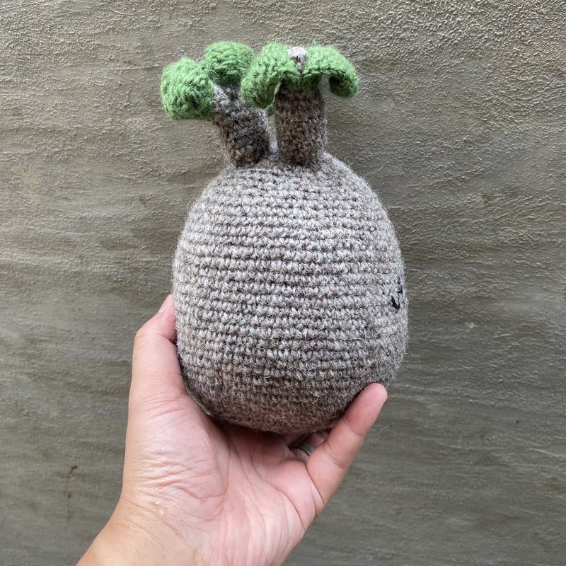 グッズ/インテリア】パキぐるみ <小> A PLANTS 手編みシリーズ グッズ/インテリア】パキぐるみ <小> A PLANTS 手編みシリーズ