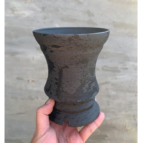 CATEGORY GOAT | A-PLANTS|塊根植物販売