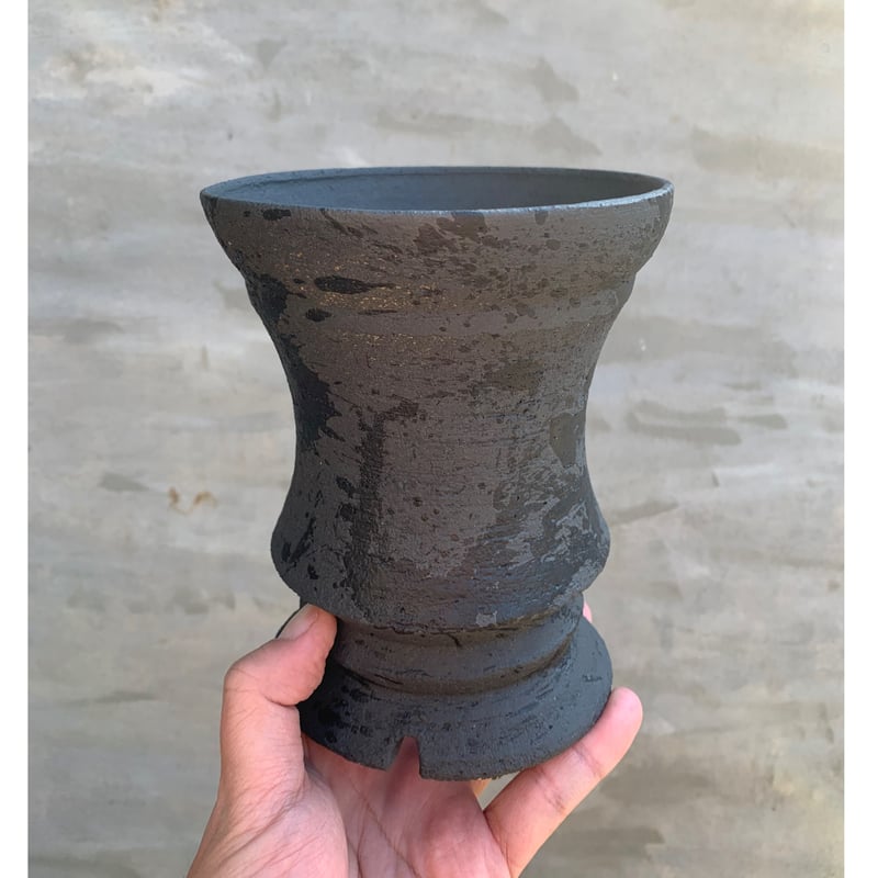 塊根植物・コーデックス mitu 塊根植物・コーデックスの育て方・おすすめの種類