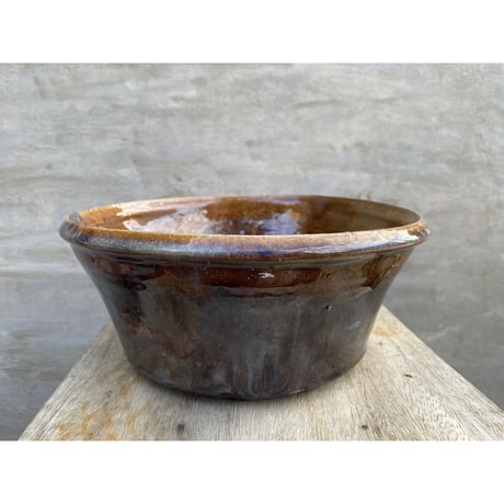 A-PLANTS|塊根植物販売
