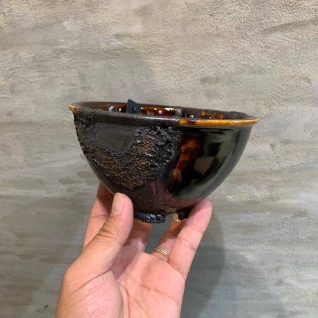 CATEGORY Wild heaven | A-PLANTS|塊根植物販売 CATEGORY Wild heaven | A-PLANTS|塊根植物販売
