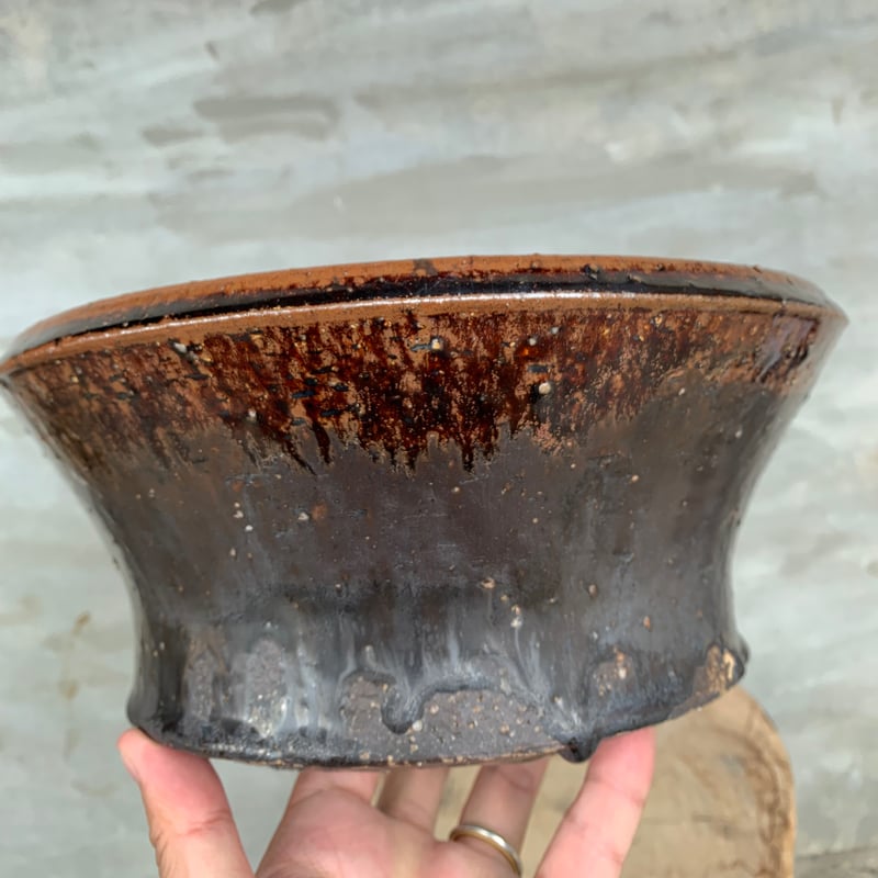 鉢】姫野 翔太 陶作 陶器鉢 飴釉 大鉢 多肉植物 塊根植物 コーデック
