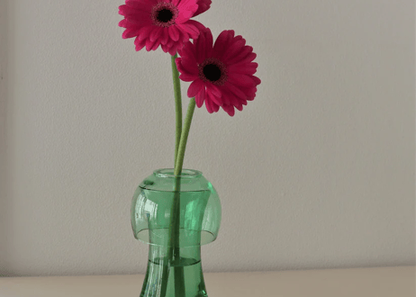EDO AQUA GLASS　水耕栽培を楽しむ　育てるを楽しむ江戸硝子