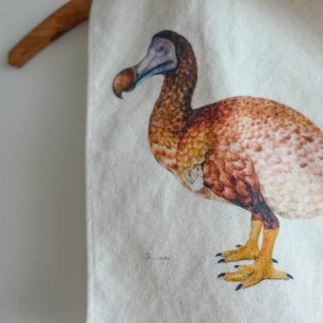 鳥イラスト布
