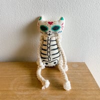 スカルキャット