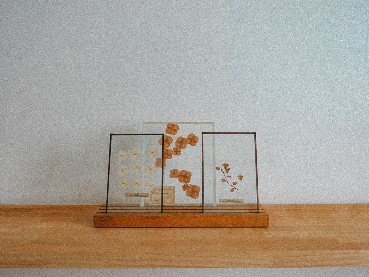 植物標本 (厚手ガラス) | marque