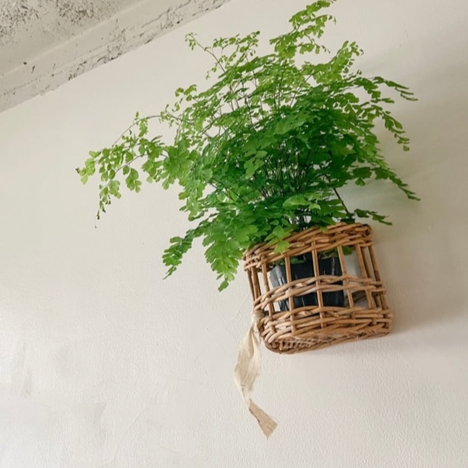 66459ab1ec1f7a0ce3557823