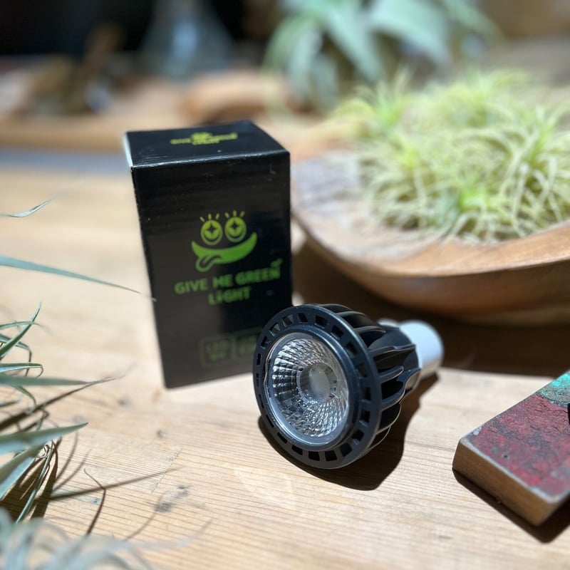 ＧＩＶＥ ＭＥ ＧＲＥＥＮ ＬＩＧＨＴ by みどりきくぞう® 5個セット新品 楽天市場】BANKS Collection 【GIVE ME GREEN LIGHT by みどり