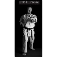 空手道型「二十四歩」（ニーセーシ・NISEISHI）