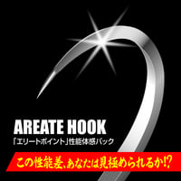 AREATE HOOK 「エリートポイント性能体感パック」