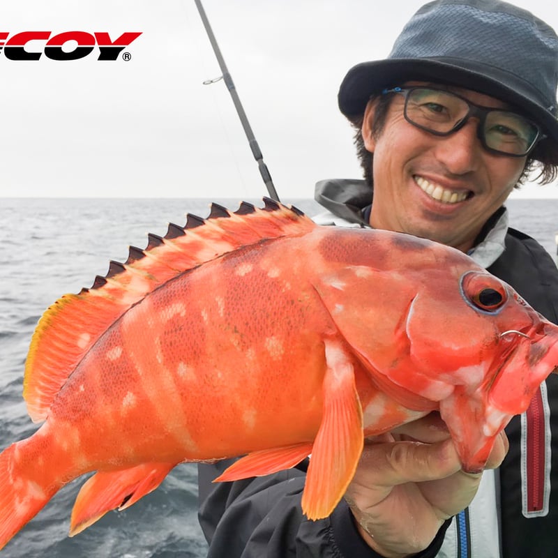 sak商品です。 ZX-25R(20-25) / SE / SE KRT EDITION | Kawasaki | ウッドストック