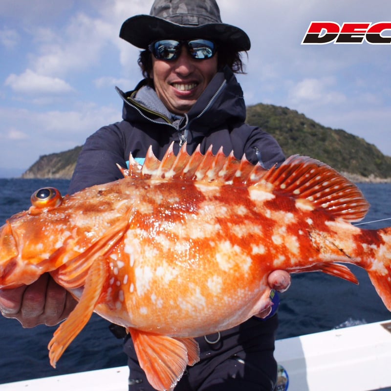 ベイチーの最高峰‼️レア物【katsu】OC板付け株 MFG-AC-24 Dragon & Heart Natural | 【クロサワ楽器店オンライン