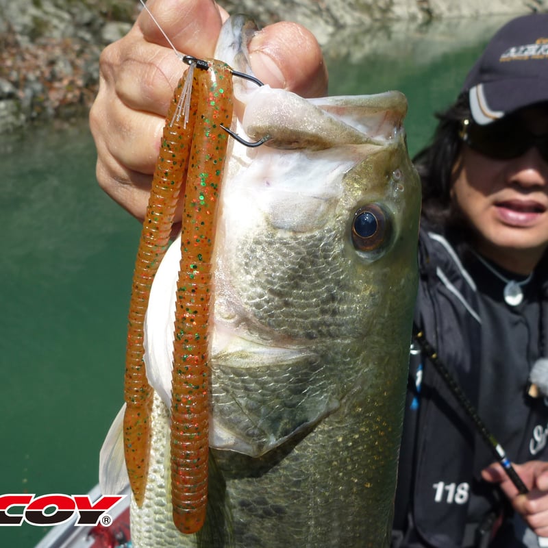 Cover Finesse HD <Worm220> | KATSUICHI / DECOY