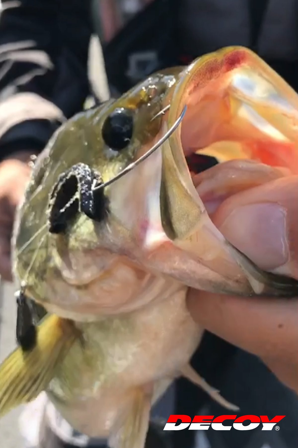 たろこ キロフックナロー［Kg Hook Narrow-Worm37］ - 株式会社カツイチ