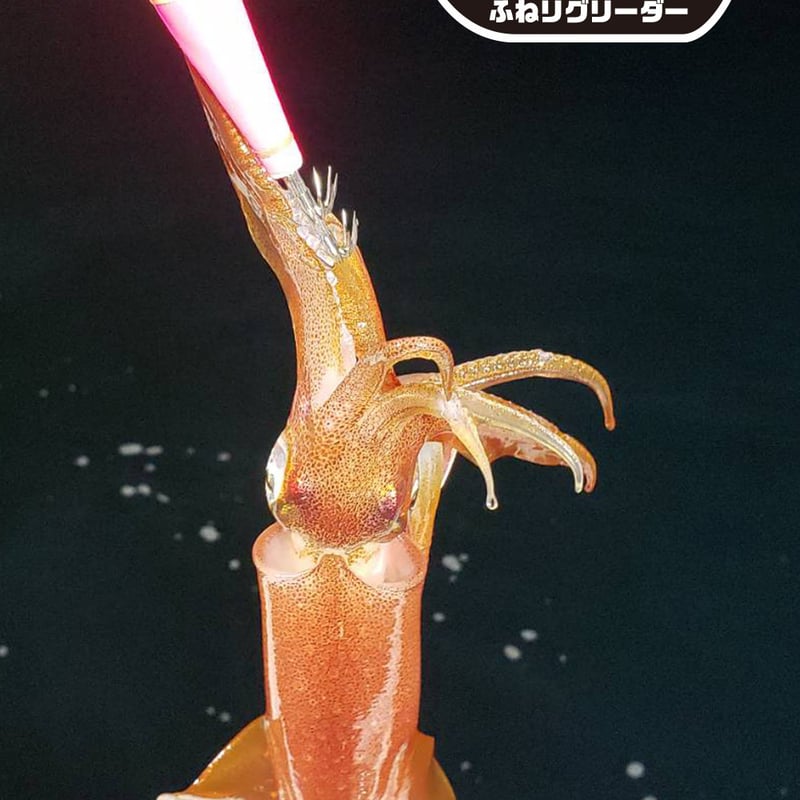 ◇ZEUS◇Cobra◇ロッド◇希少モノ◇限定◇未使用品◇