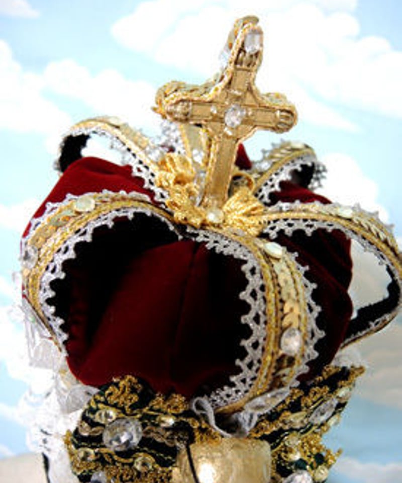 【現品】金蝉　検索) 皇冠　麻花 金冠」開花！ - user01さんの日記 - UBE tokiwa Museum