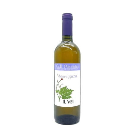 Il Vei・Sauvignon 2022 白 イル・ヴェイ／ソーヴィニョン