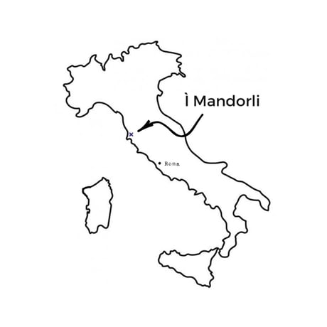 I Mandorli - Sangiovese 2022 赤 イ・マンドルリ / サンジョヴェーゼ